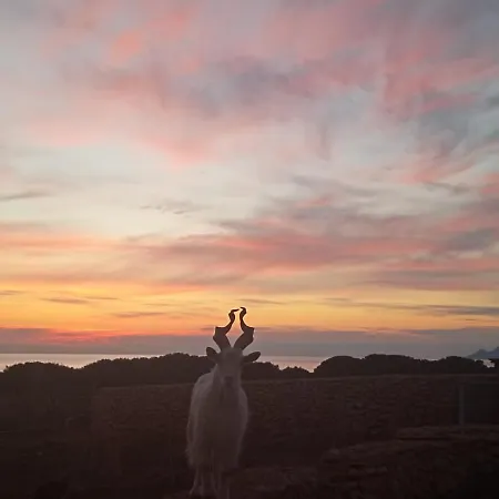 Apartamento Antrama - Animali Tramonti E Mare *