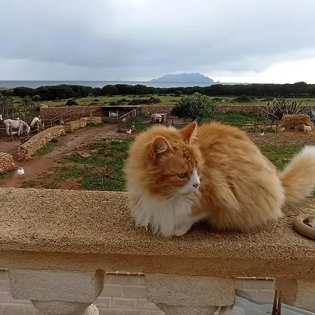 Antrama - Animali Tramonti E Mare Apartamento *