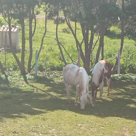 Antrama - Animali Tramonti E Mare Apartmán
